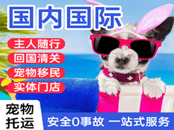 武汉机场邮寄国际宠物托运 【国